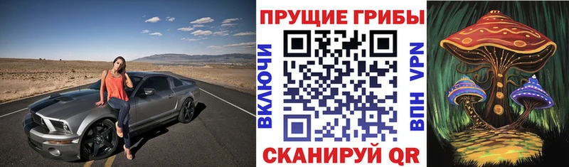 Галлюциногенные грибы Cubensis закладки Владивосток