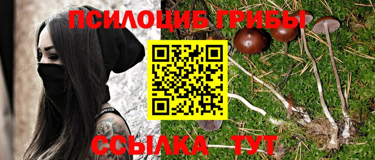 Псилоцибиновые грибы GOLDEN TEACHER  Псилоцибиновые грибы MAGIC MUSHROOMS  Вход с VPN  Владивосток 